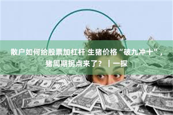 散户如何给股票加杠杆 生猪价格“破九冲十”，猪周期拐点来了？｜一探