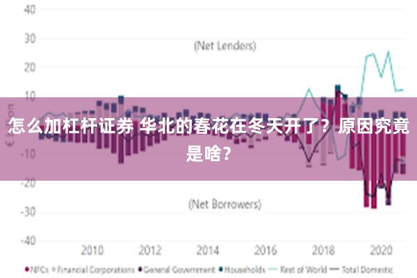 怎么加杠杆证券 华北的春花在冬天开了？原因究竟是啥？