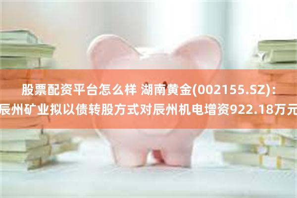 股票配资平台怎么样 湖南黄金(002155.SZ)：辰州矿业拟以债转股方式对辰州机电增资922.18万元