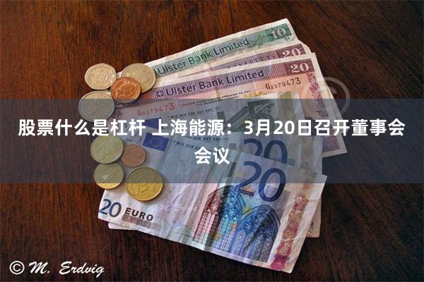 股票什么是杠杆 上海能源：3月20日召开董事会会议