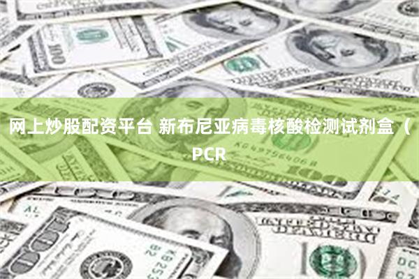 网上炒股配资平台 新布尼亚病毒核酸检测试剂盒（PCR