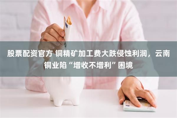 股票配资官方 铜精矿加工费大跌侵蚀利润，云南铜业陷“增收不增利”困境
