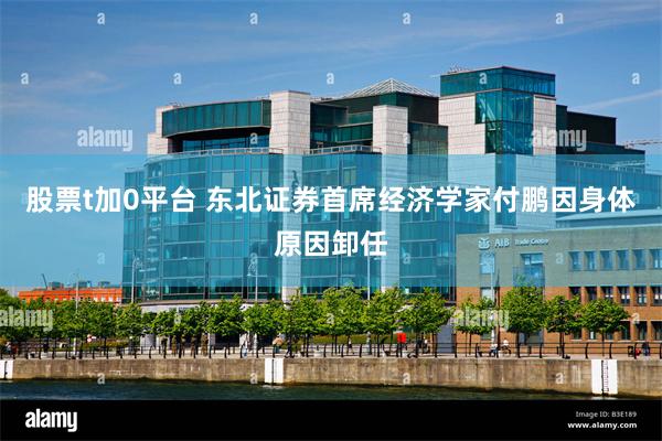 股票t加0平台 东北证券首席经济学家付鹏因身体原因卸任