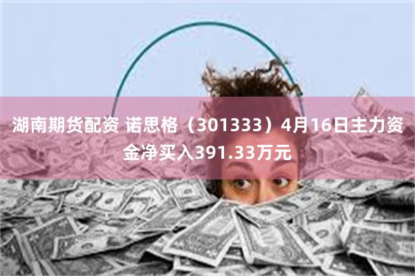 湖南期货配资 诺思格（301333）4月16日主力资金净买入391.33万元