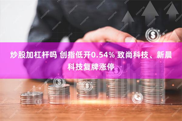 炒股加杠杆吗 创指低开0.54% 致尚科技、新晨科技复牌涨停