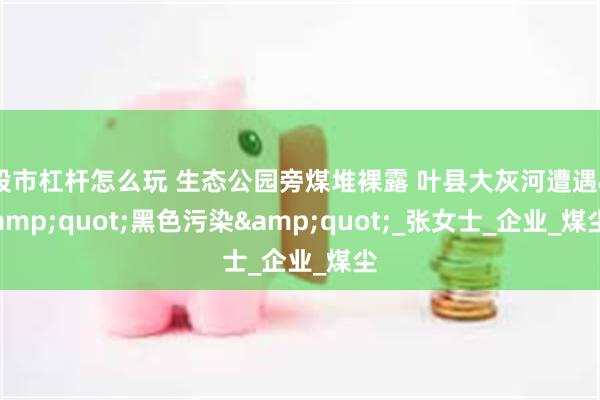 股市杠杆怎么玩 生态公园旁煤堆裸露 叶县大灰河遭遇&quot;黑色污染&quot;_张女士_企业_煤尘