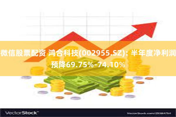 微信股票配资 鸿合科技(002955.SZ): 半年度净利润预降69.75%-74.10%