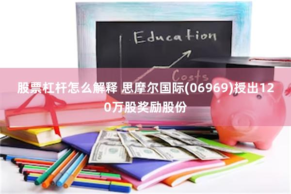 股票杠杆怎么解释 思摩尔国际(06969)授出120万股奖励股份