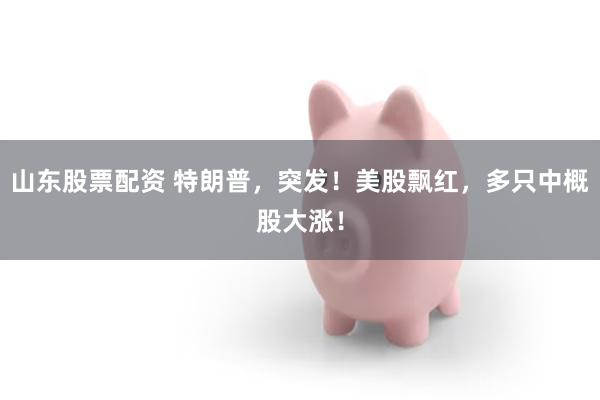 山东股票配资 特朗普，突发！美股飘红，多只中概股大涨！