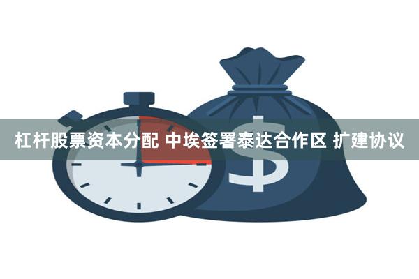 杠杆股票资本分配 中埃签署泰达合作区 扩建协议