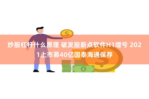 炒股杠杆什么原理 破发股新点软件H1增亏 2021上市募40亿国泰海通保荐