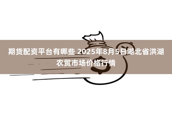 期货配资平台有哪些 2025年8月5日湖北省洪湖农贸市场价格行情