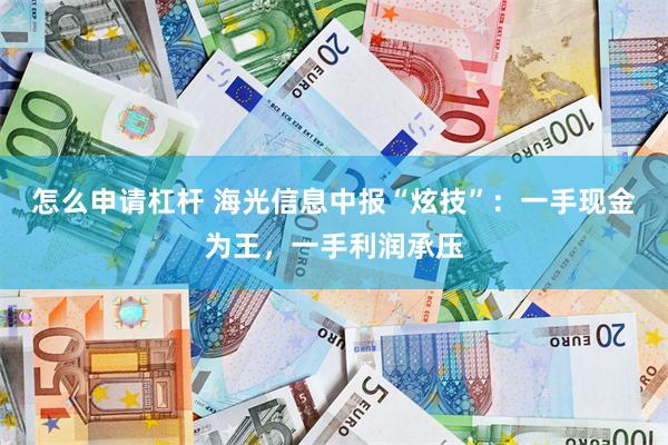 怎么申请杠杆 海光信息中报“炫技”：一手现金为王，一手利润承压