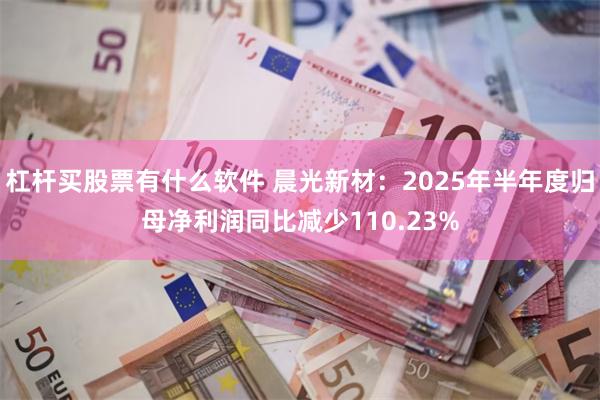 杠杆买股票有什么软件 晨光新材：2025年半年度归母净利润同比减少110.23%